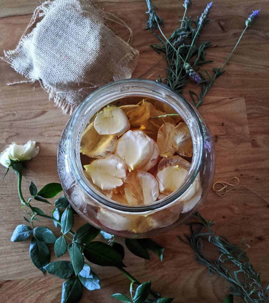 Alimentos probióticos y fermentados.