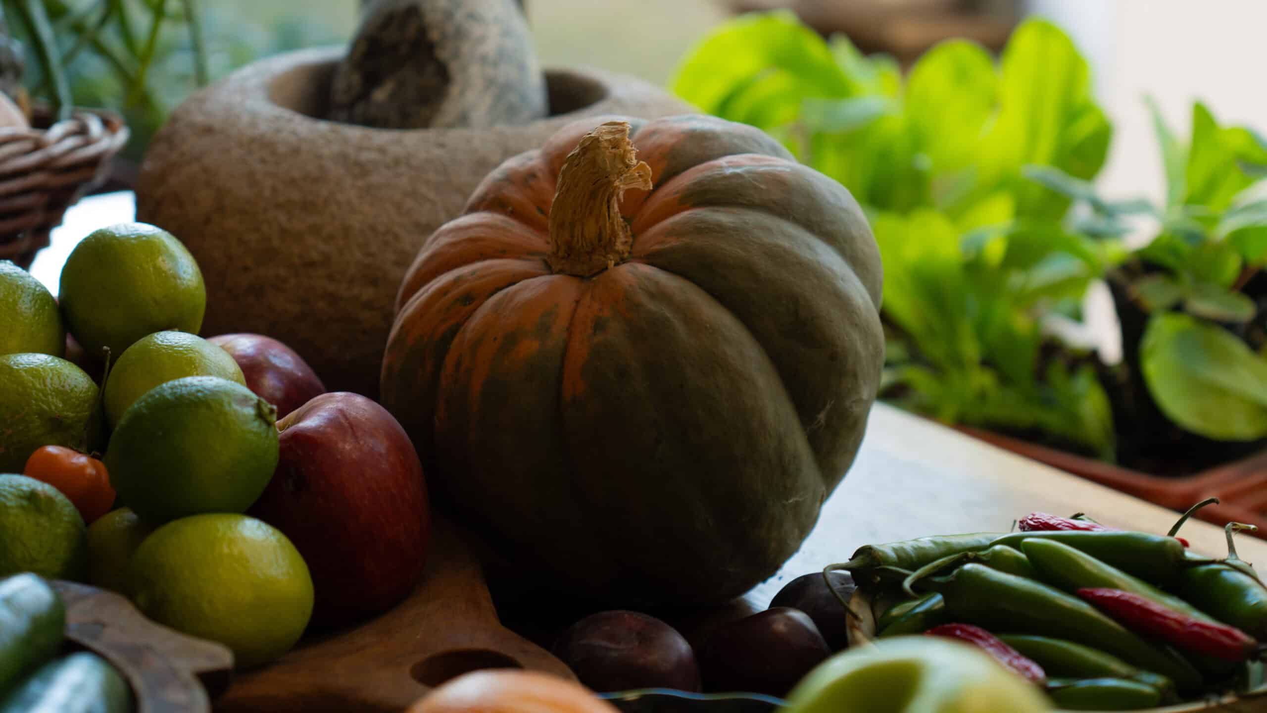 Conservas y cocina de estacion 2024